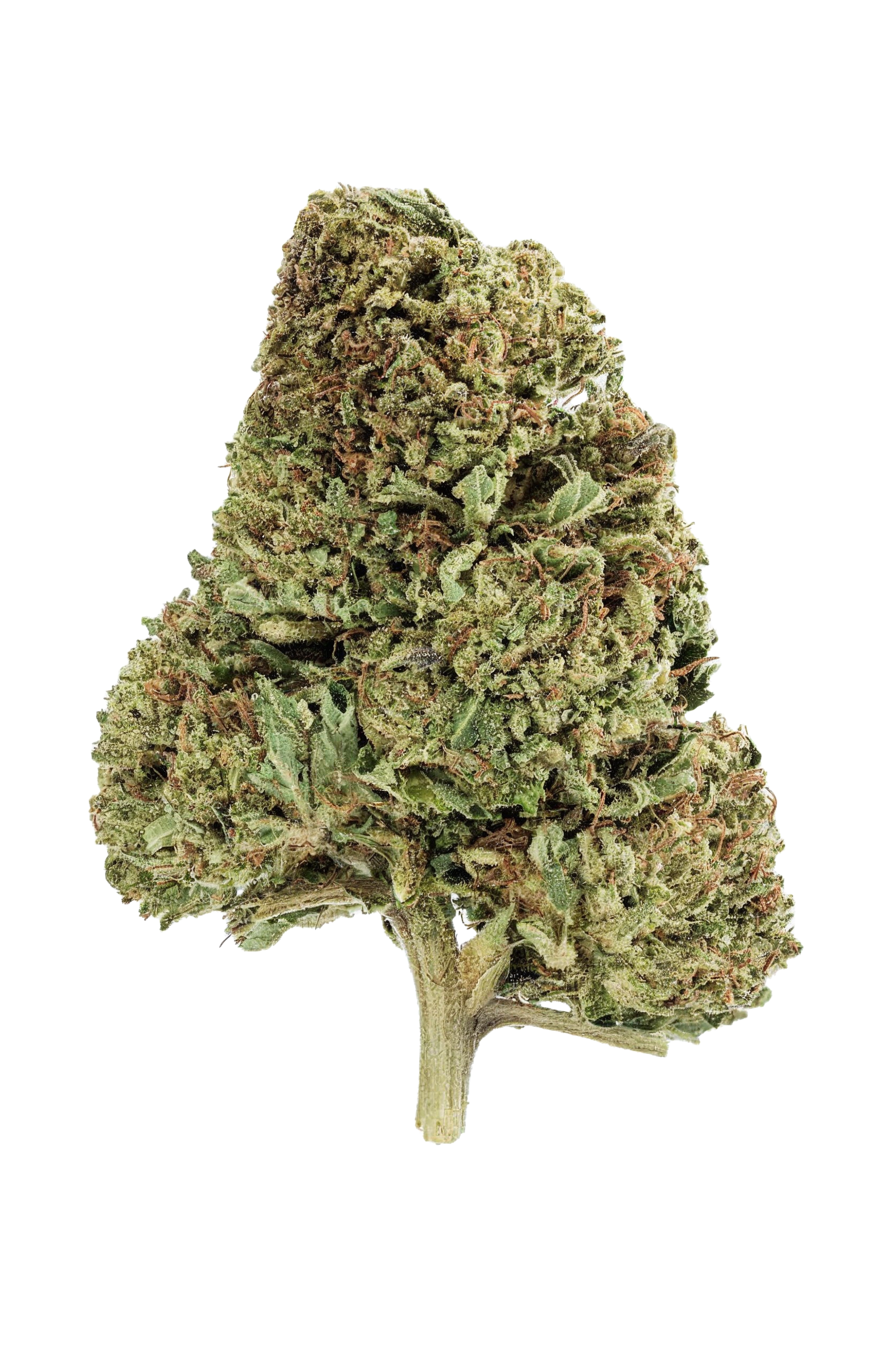 Slapz Indoor Exotic THCA Flower