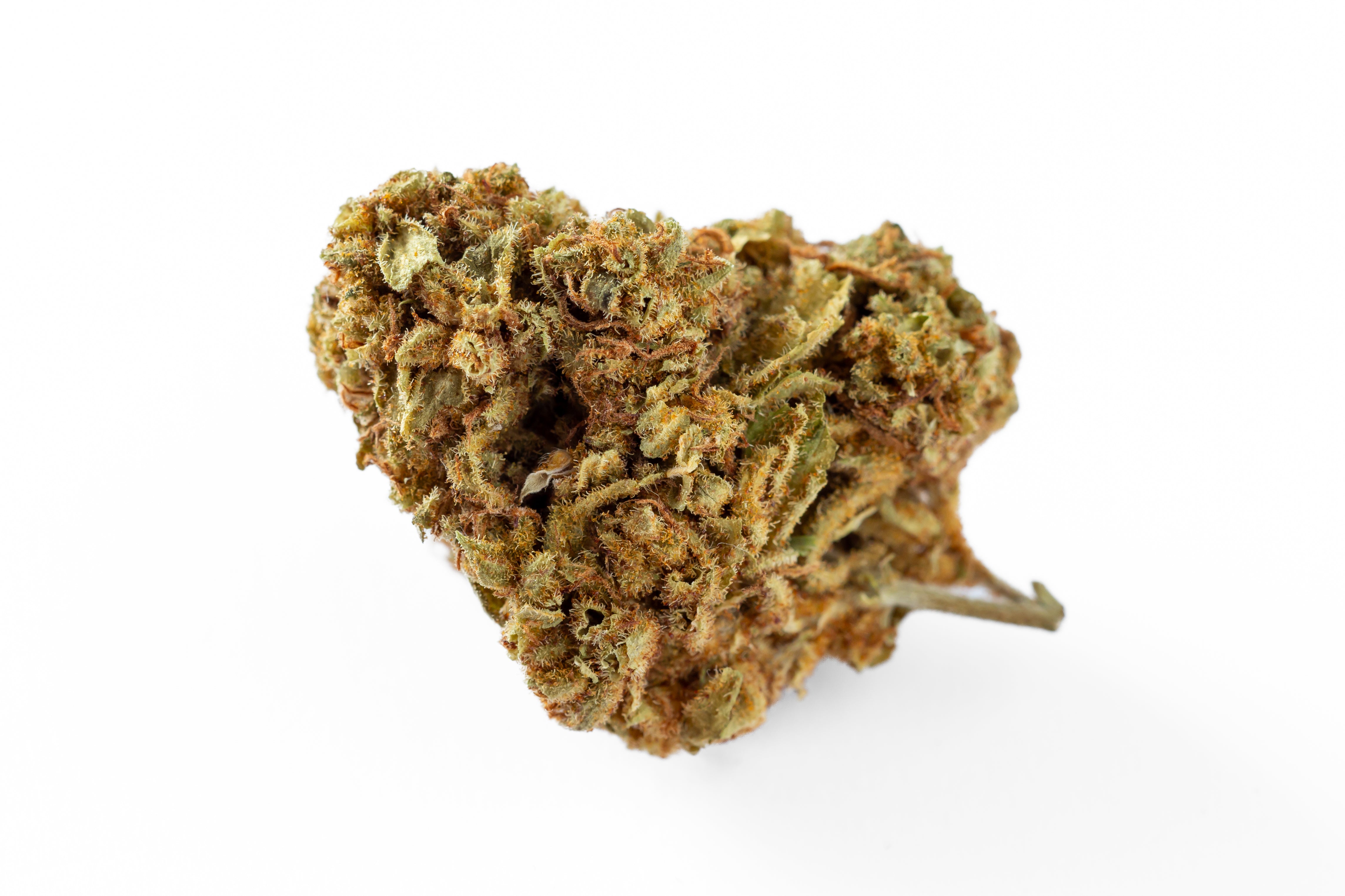 Gush Mintz Indoor Exotic THCA Flower