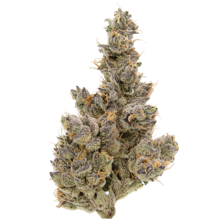Vanilla Waferz Greenhouse THCA Flower