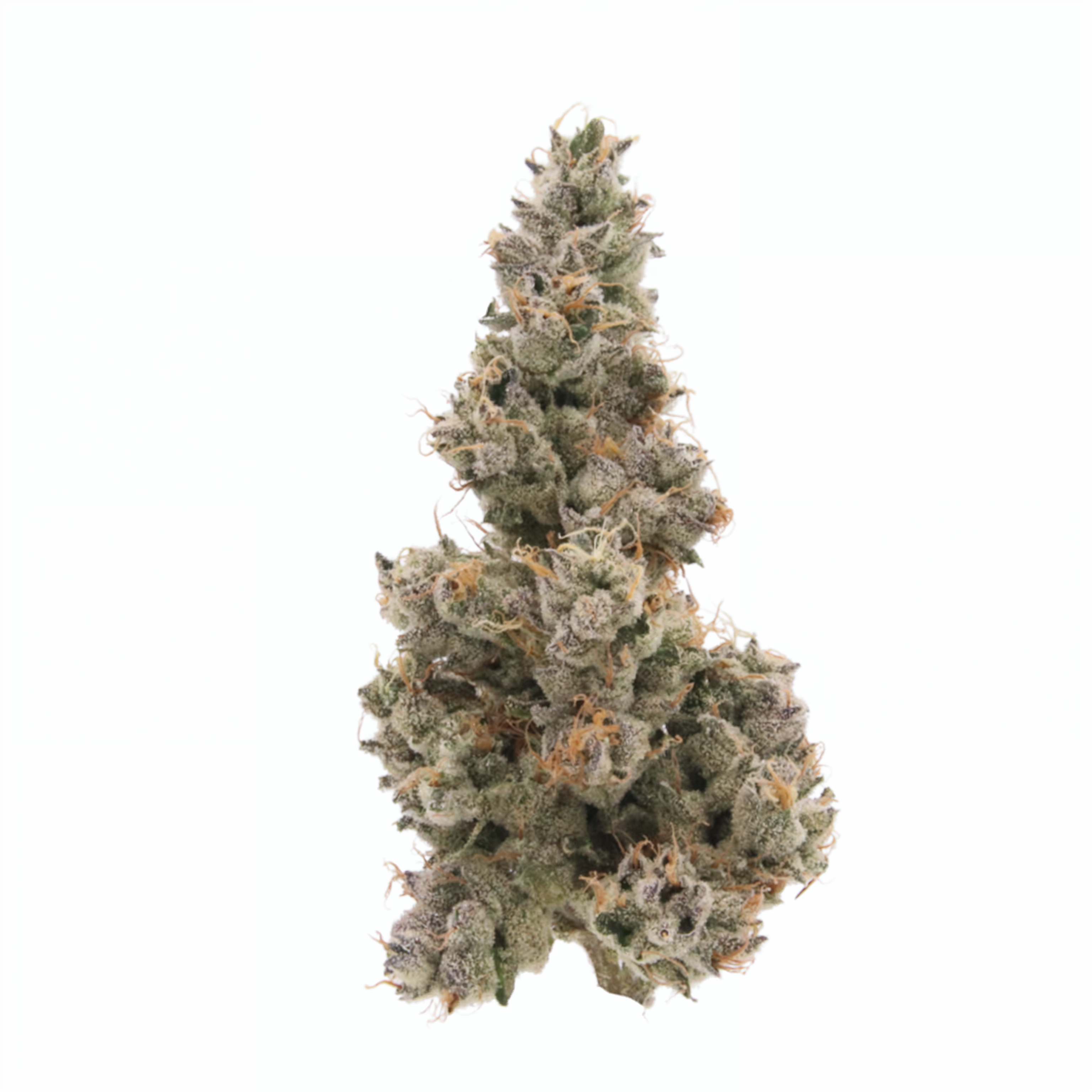 Ice Cream Cake Greenhouse THCA Flower