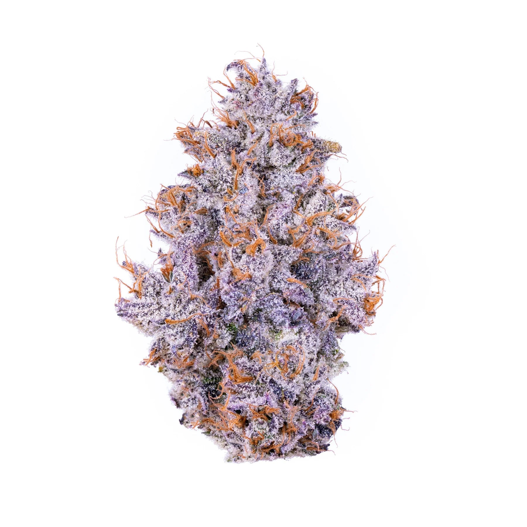 Purple Reign Indoor Exotic THCA Flower
