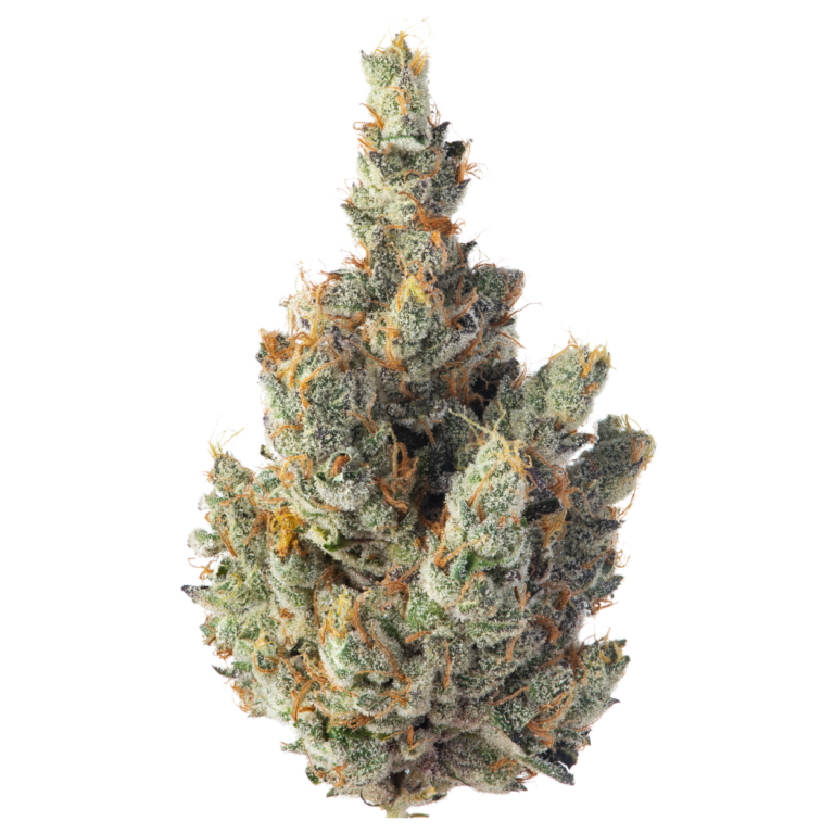 Runtz DC  Indoor Exotic THCA Flower