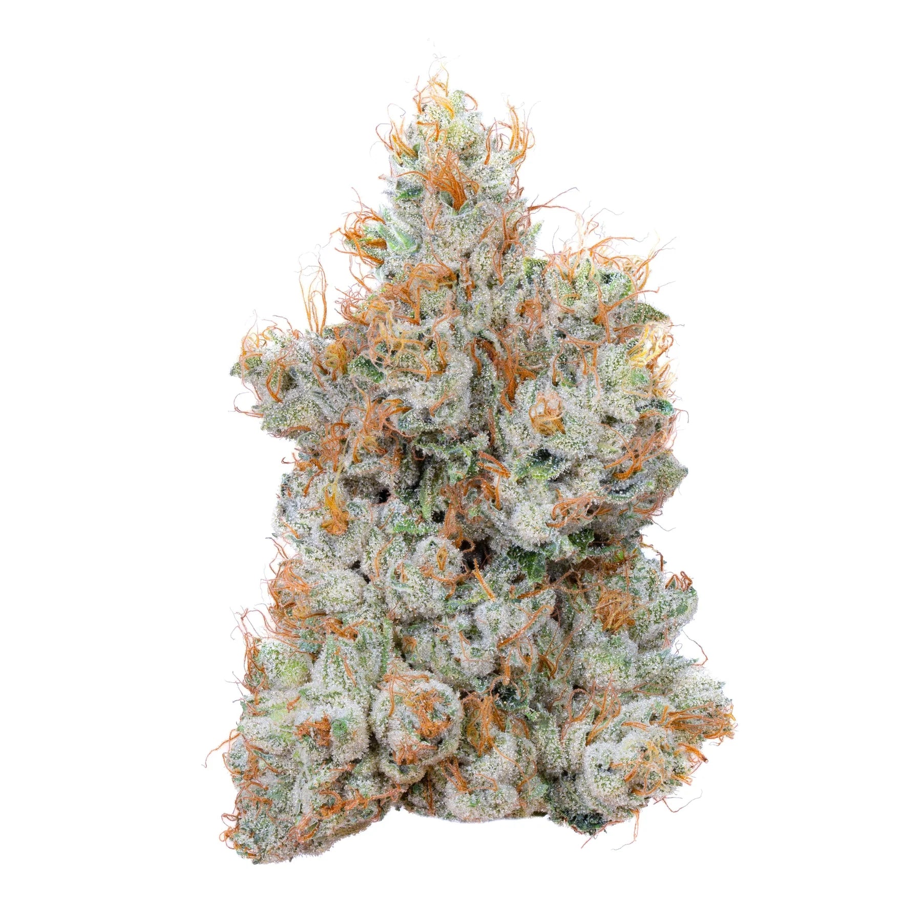 Sherbanger  Indoor Exotic THCA Flower