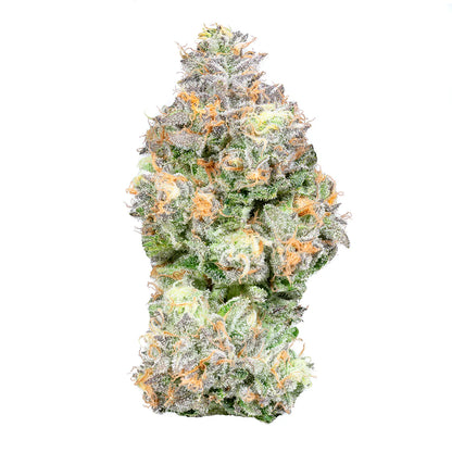 Mac 1 Flor de interior con THCA