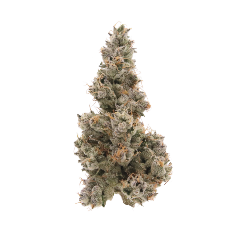 Carbon Fiber Greenhouse THCA Flower