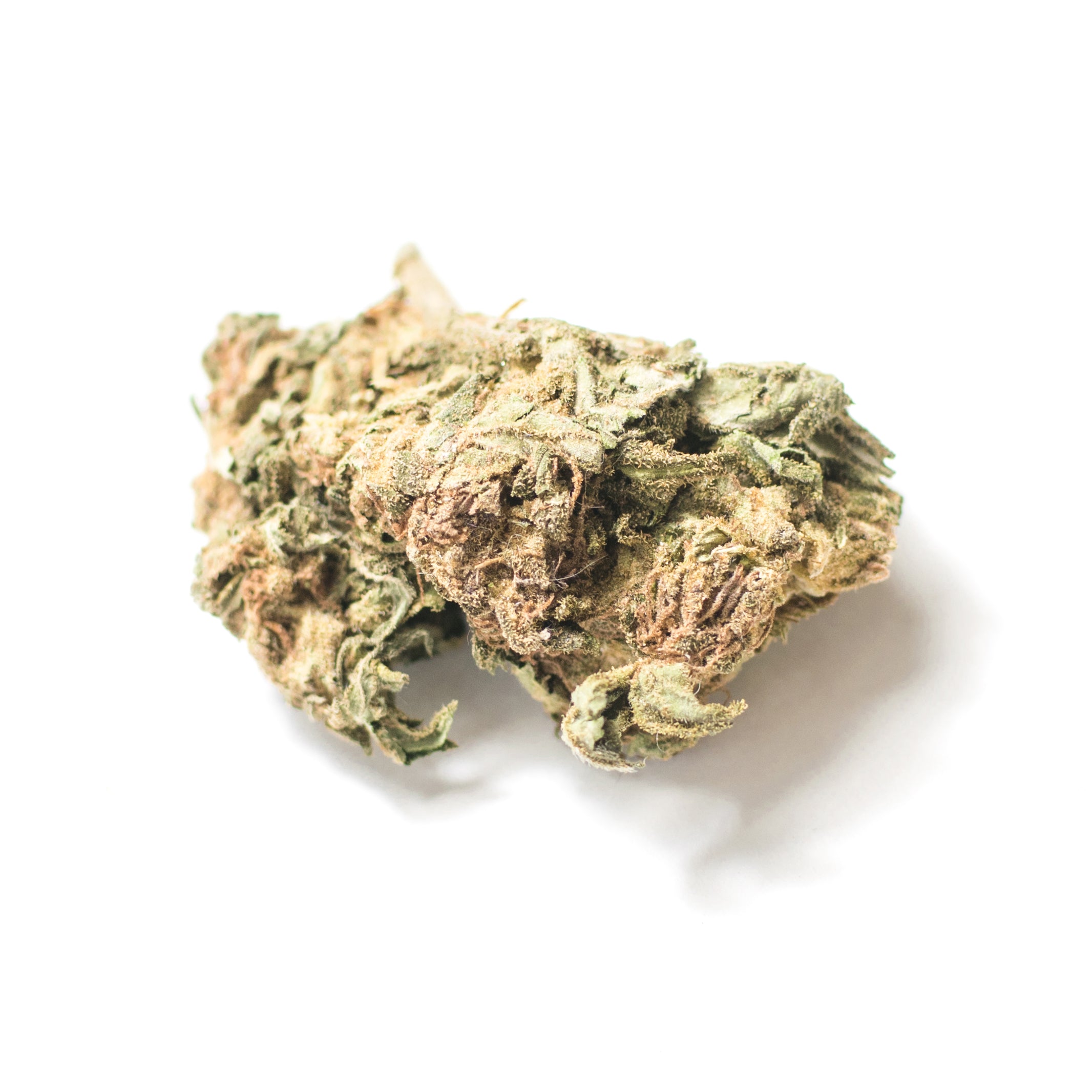 Black Maple  Indoor Exotic THCA Flower