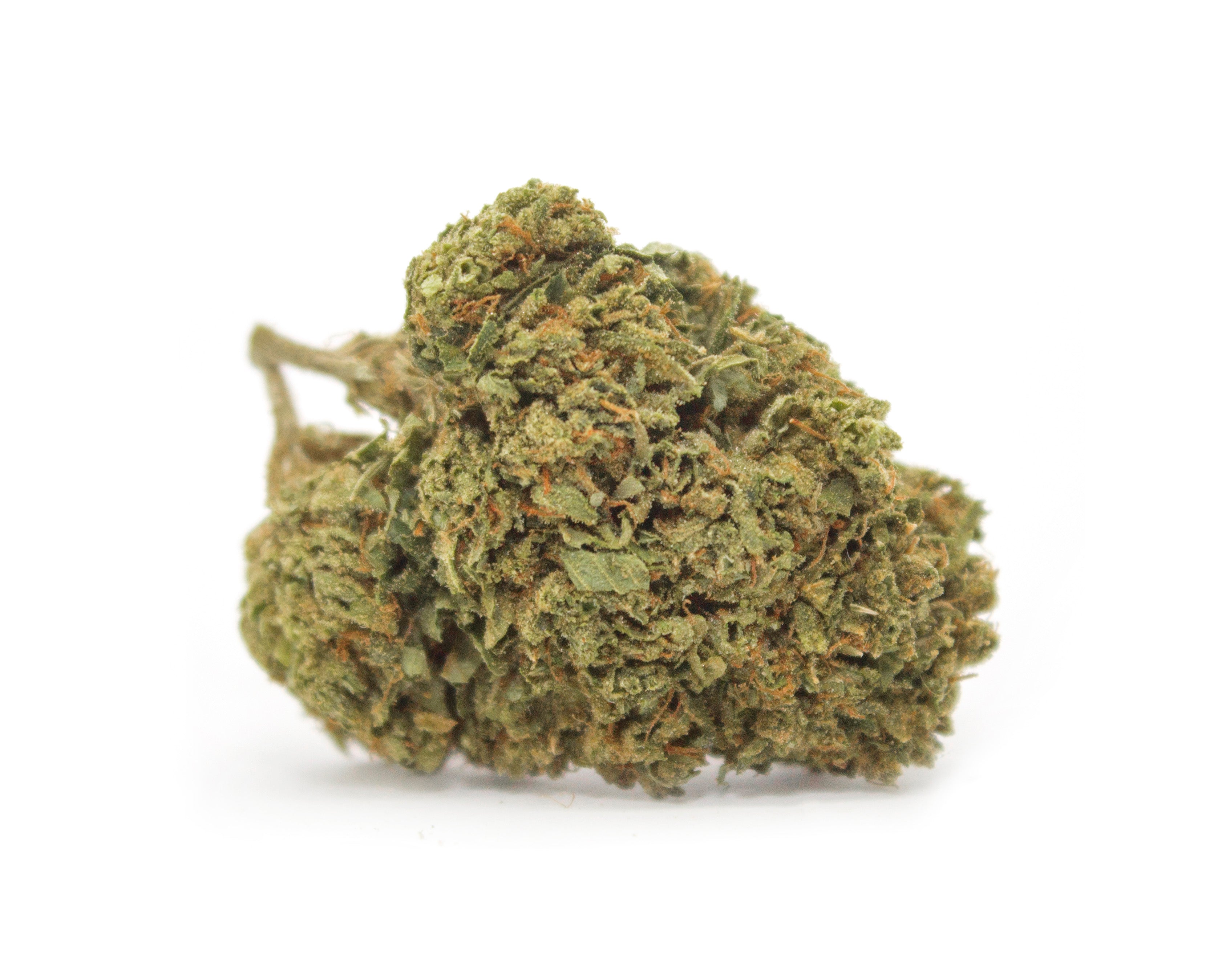 Gush Mintz Outdoor THCA Flower