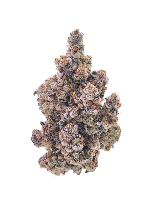 JCS Outdoor THCA Flower