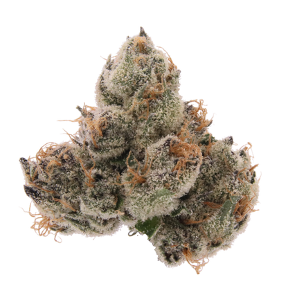 WCS Outdoor THCA Flower