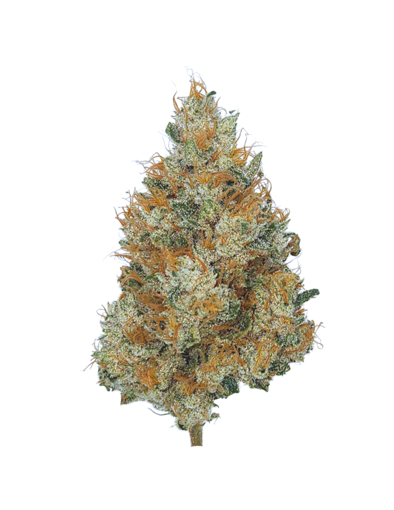 Gush Mintz Indoor Exotic THCA Flower