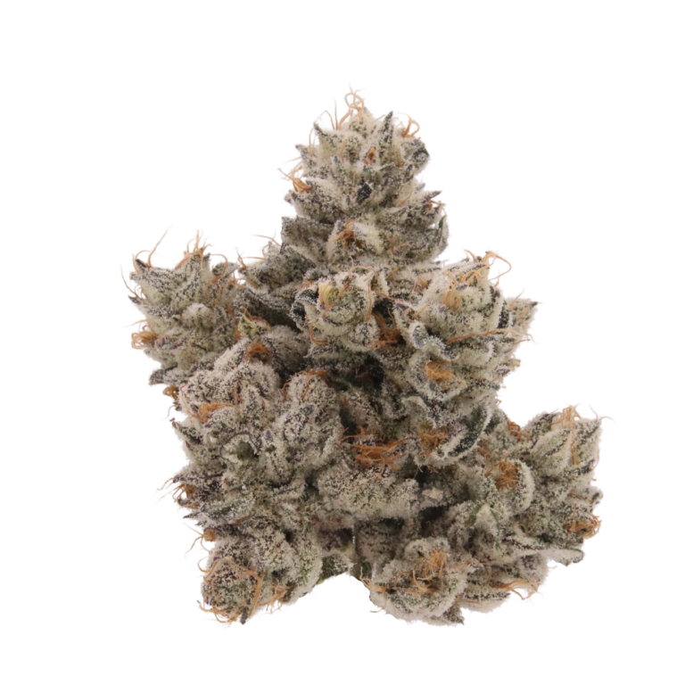 Cheetah Piss  Indoor Exotic THCA Flower